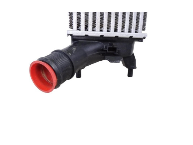 Интеркулер  H1BG6K775AC   Ford Ecosport 