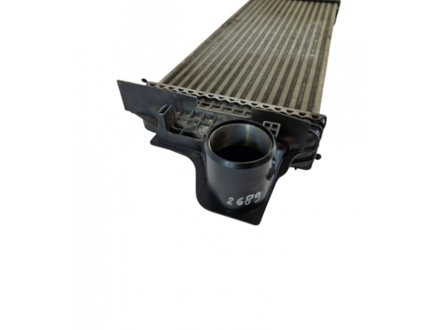 Интеркулер Mercedes-Benz R W251