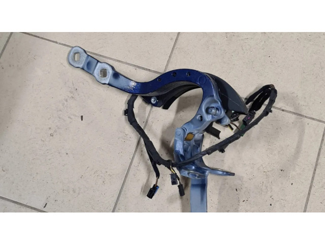 Петля (петли) задней крышки