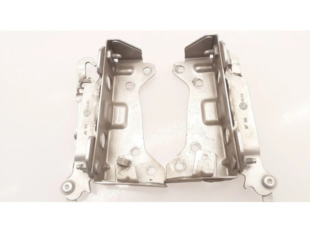 Петля (петли) капота двигателя