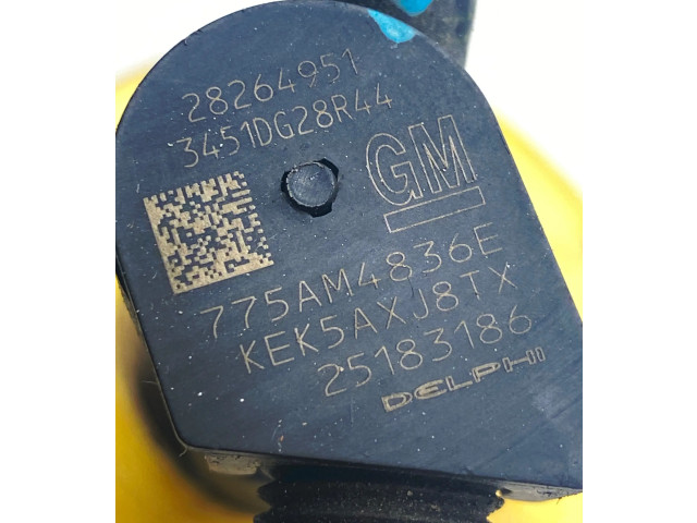 Vstřikovač 25183186, 28264951 Opel Antara