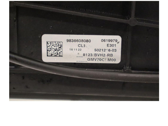 Вентилятор радиатора     9836638080    Peugeot Partner III 