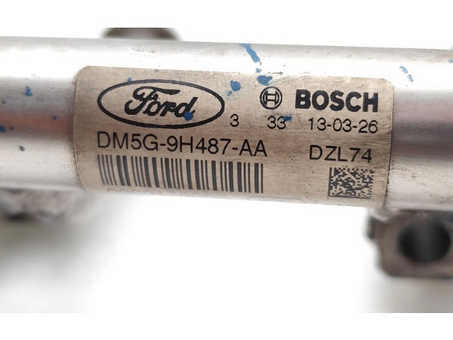 Vstřikovací lišta DM5G-9H487-AA, 0261545039 Ford Focus M1DA