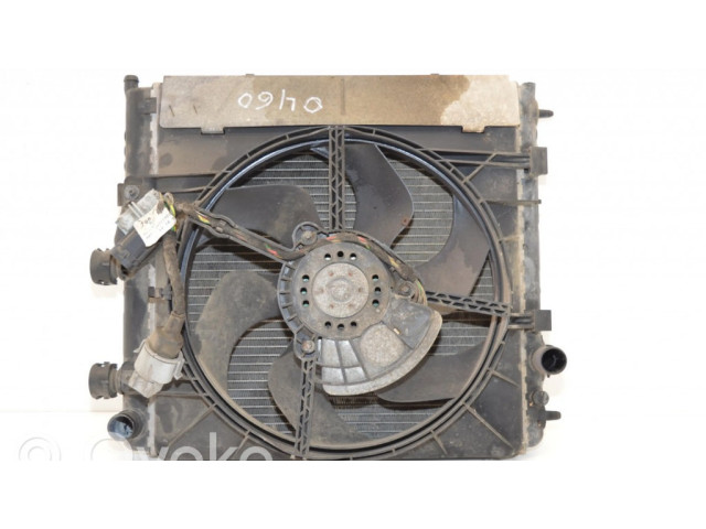 Вентилятор радиатора 1253H3, 1330E5 Citroen C3 1.4