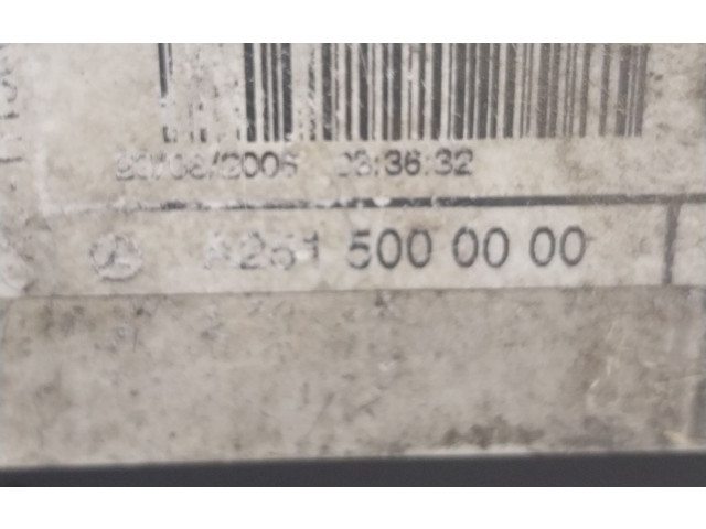 Интеркулер A2515000000, 2515000000 Mercedes-Benz R W251