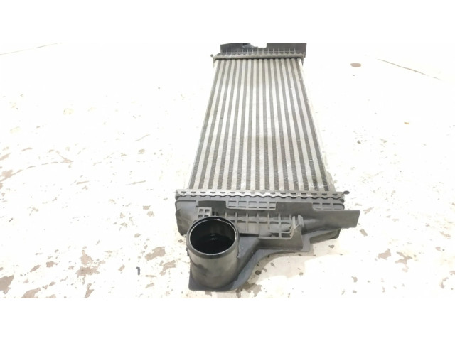 Интеркулер 2515000000, 1645001900 Mercedes-Benz R W251 3.0
