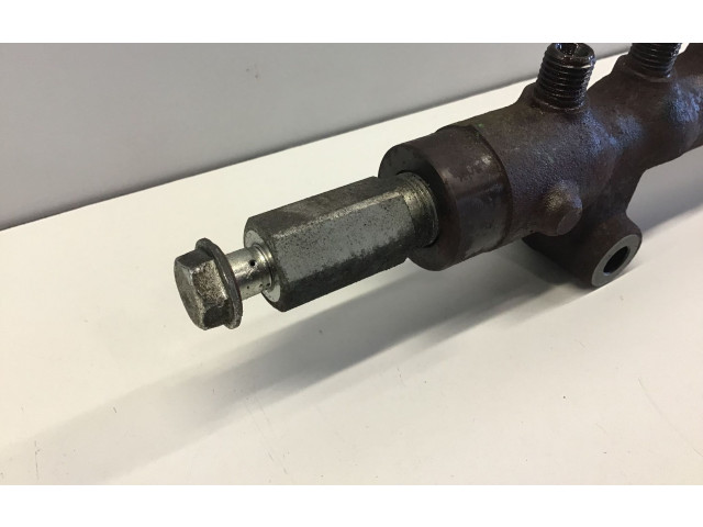 Топливная рампа 14120902268 Mitsubishi Outlander