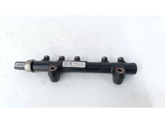 Vstřikovací lišta 968529758002, 110961403 Citroen Berlingo pro naftový motor 1.6