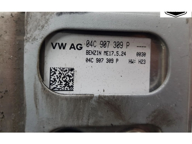 Блок управления двигателя 04C907309P, 04C907309P   Skoda Citigo