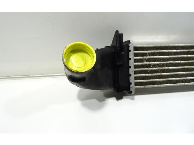 Интеркулер 6001548727 Dacia Logan I