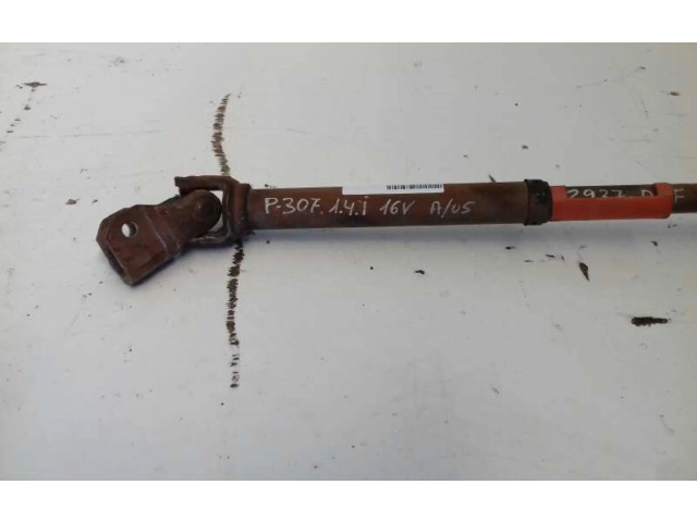 Volant Peugeot 307 5A10G