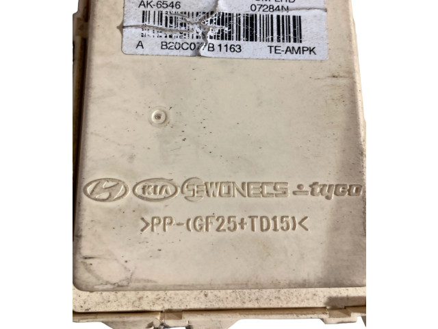 Блок предохранителей AK6546, B20C077B1163 Hyundai Santa Fe
