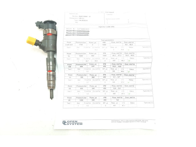 Масляный насос  BHY 0445110566  Peugeot Partner 