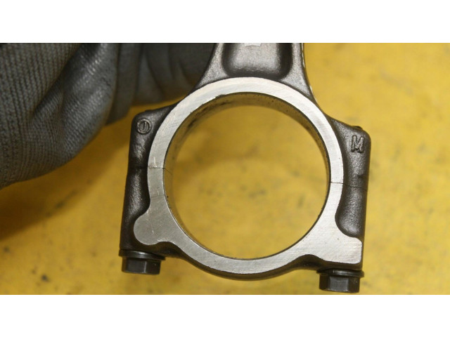 Поршень Renault Clio III