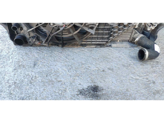 Интеркулер Skoda Fabia Mk2 (5J)