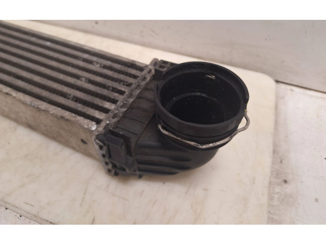 Интеркулер  A1695000000   Mercedes-Benz A W169 