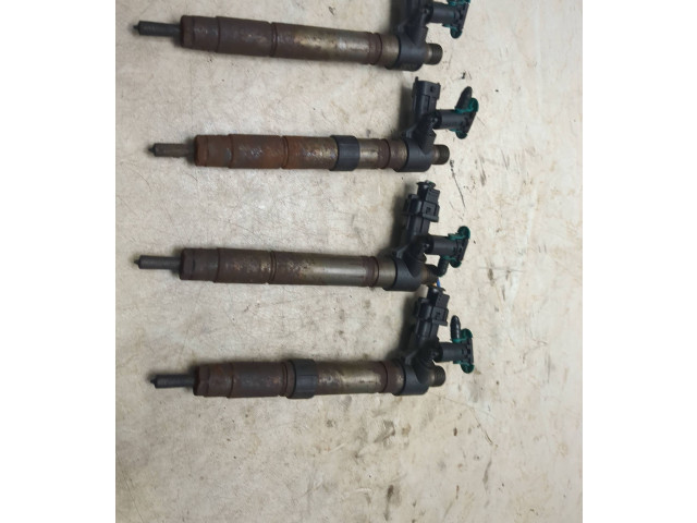 Комплект жиклеров (форсунок) 0445115025    Citroen C5