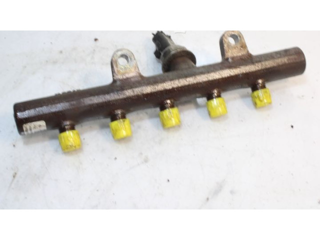 Топливная рампа    Renault Clio III  