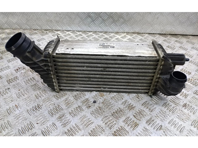 Интеркулер     Peugeot 5008 