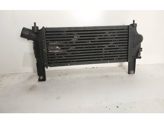 Интеркулер 14461EB360, F6864 Nissan Pathfinder R51