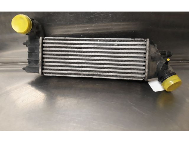 Интеркулер  384G0   Citroen C8 