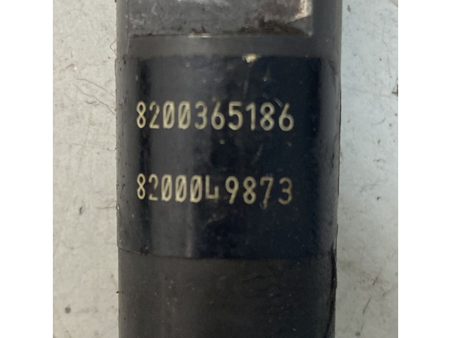 Форсунка 8200365186, 8200365186    Renault Clio III   