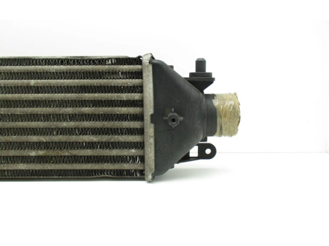 Интеркулер     Fiat Punto (199) 