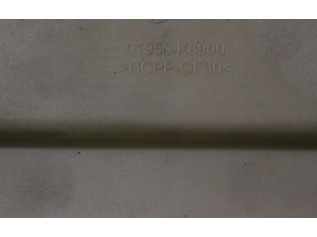 Блок предохранителей 91950-K8900 Hyundai i10