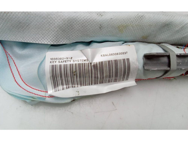 Боковая подушка безопасности 1035382 Skoda Fabia Mk3 (NJ)