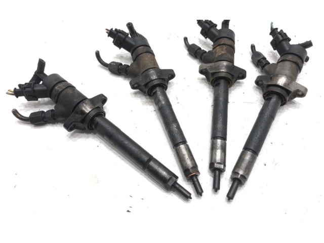 Комплект жиклеров (форсунок) 0445110239 Citroen C4 I