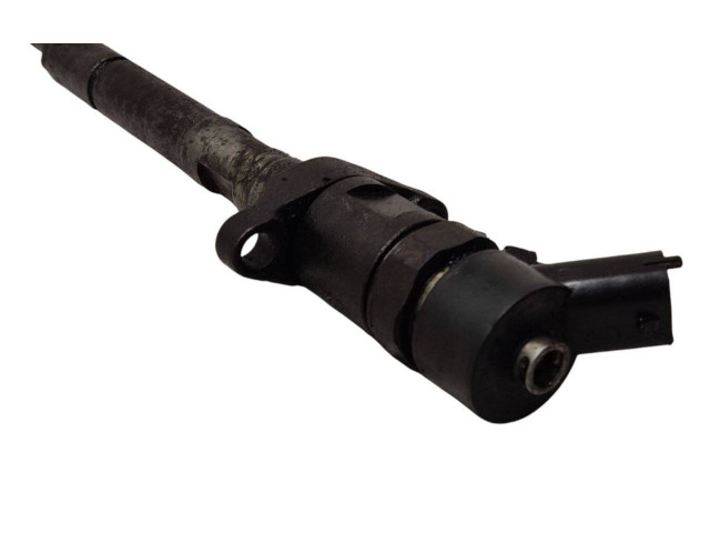 Vstřikovač 0445110239 Citroen Berlingo