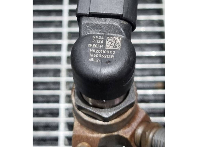 Жиклер (жиклеры) (форсунка (форсунки) H8201100113, 166006212R Dacia Duster