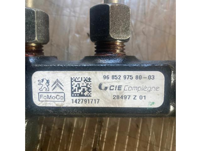 Топливная рампа 9685297580, 28497Z01   Peugeot 2008 I 1.4 