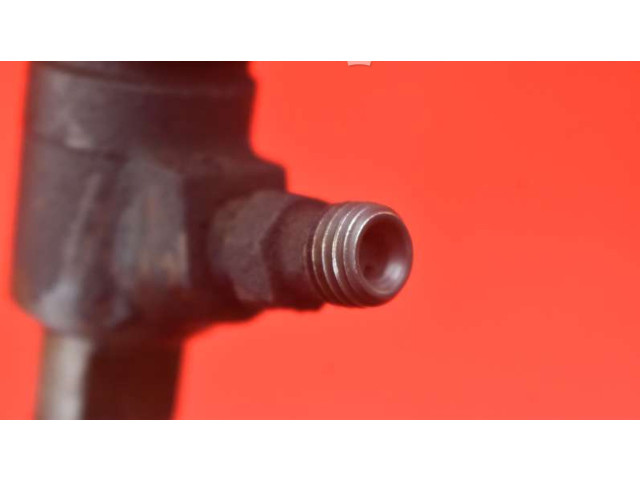Форсунка 0445110252, 0445110252    Citroen Nemo   