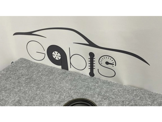 Громкоговоритель (громкоговорители) в передних дверях