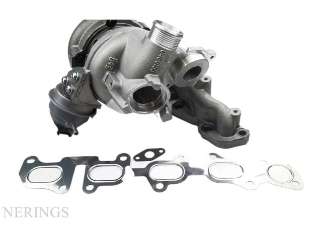  Турбина Audi TT TTS RS Mk3 8S  821866-0009, TC10-0010T         