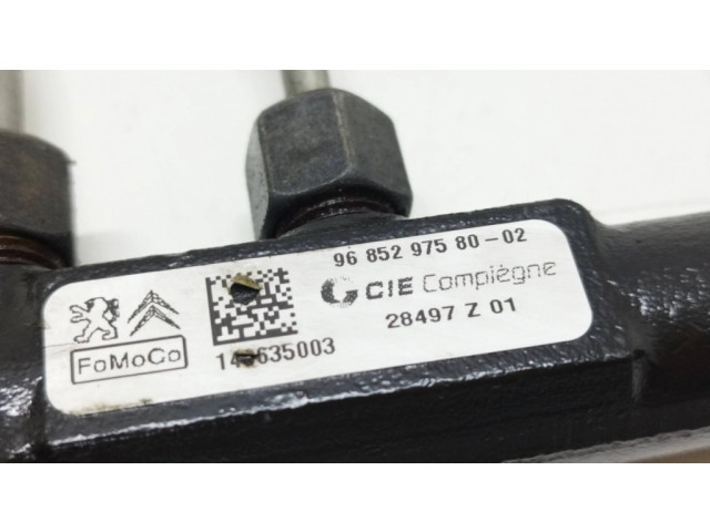 Vstřikovací lišta 9685297580, 28497Z01 Ford Focus pro naftový motor 1.6 T1DB DV6