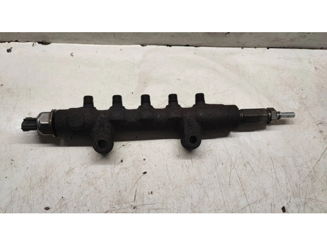 Vstřikovací lišta 45PP31, 10286220080 Citroen Jumper pro naftový motor 2.2