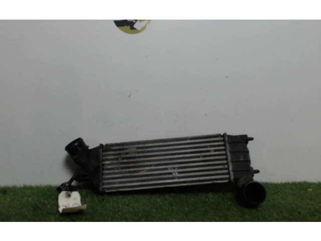 Интеркулер 00000384G0, 00000384G0 Citroen C8