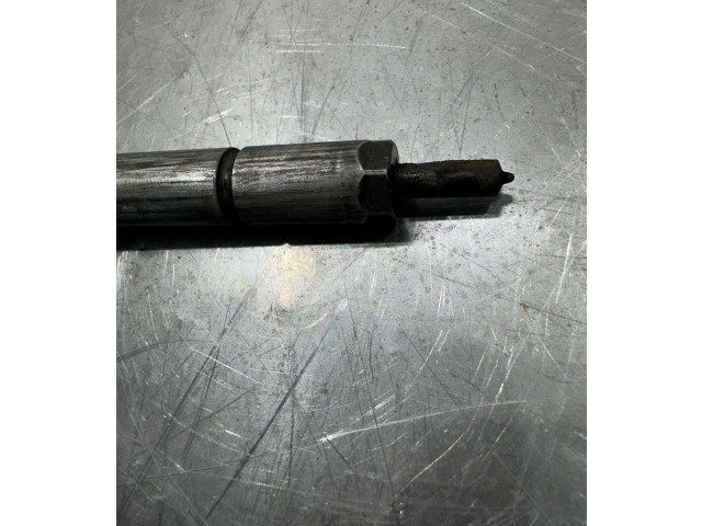 Форсунка 0445110239 Citroen Berlingo