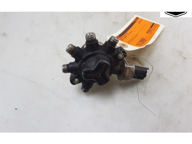 Топливная рампа 4M5Q9D280DB, 1445928 Ford Transit - Tourneo Connect для двигателя P7PB