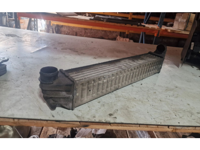 Интеркулер Seat Alhambra (Mk1)