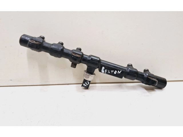 Топливная рампа A6650700295, R9145Z010B   SsangYong Rexton  