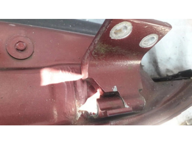 Задняя нижняя петля