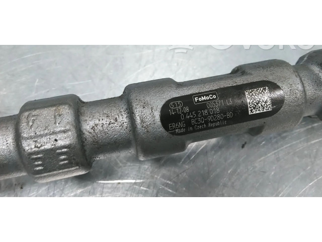 Топливная рампа BC3Q9D280BD, 0281006017 Ford F250 для двигателя FG412AA T67DVTX