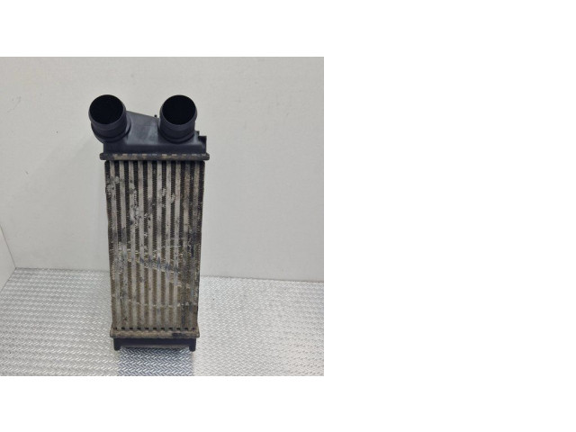 Интеркулер 9648551880, 876923JD Peugeot 307 1.6