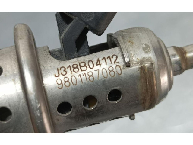 Vstřikovač 9801187080 Citroen Jumpy AH01