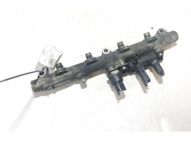 Vstřikovací lišta 002488l1, 0445214017 Peugeot 607