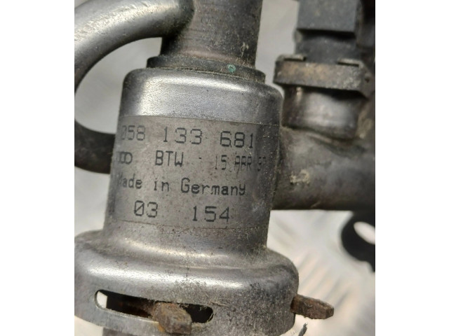 Топливная рампа 058133681, 058133551   Audi A6 S6 C5 4B  