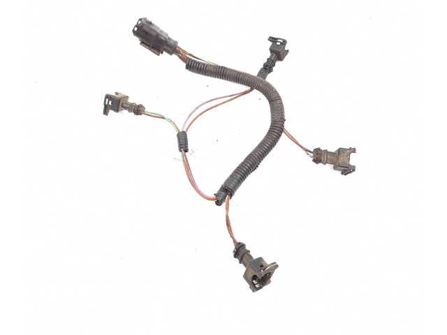 Комплект форсунок Renault Clio III